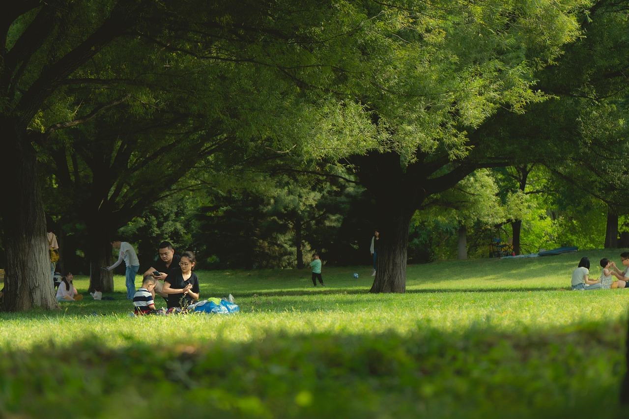 Sorties en famille gratuites ou pas cheres : nos idees